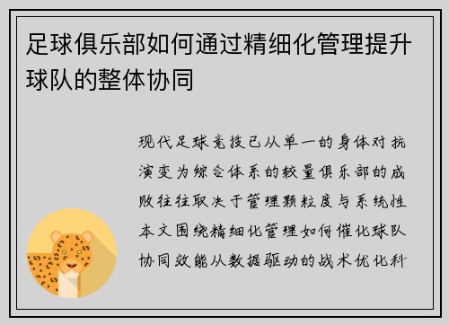 足球俱乐部如何通过精细化管理提升球队的整体协同
