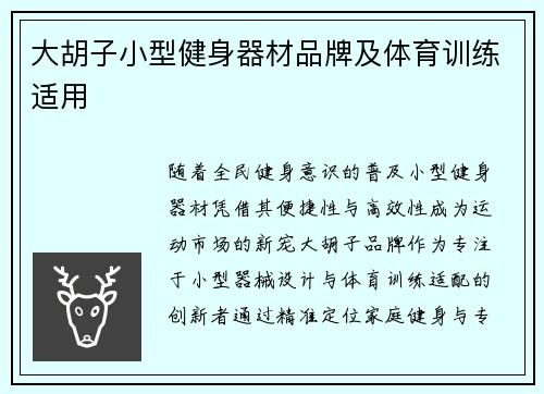 大胡子小型健身器材品牌及体育训练适用