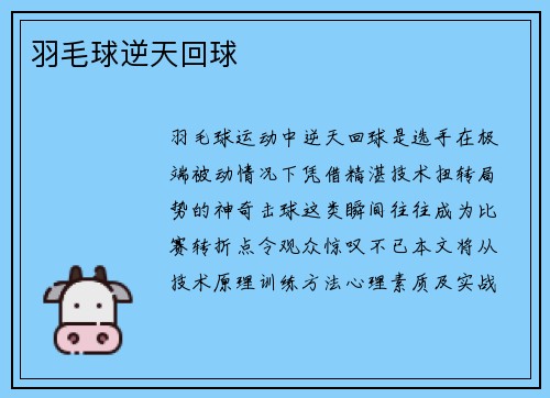 羽毛球逆天回球