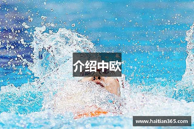 介绍中欧